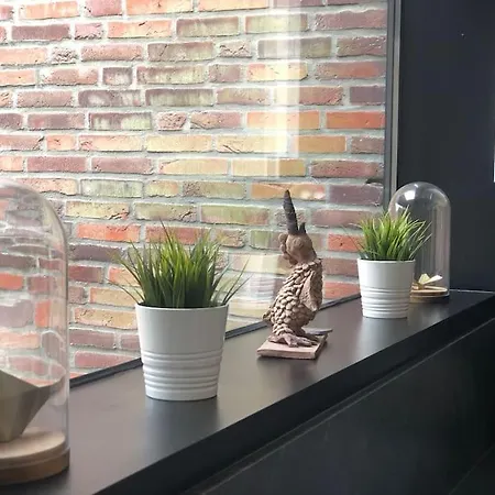 Hedendaags, Verzorgd Op Unieke Locatie Ostende